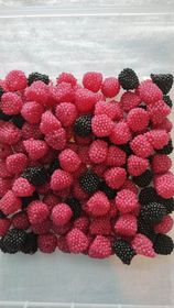 mures noir et rouge