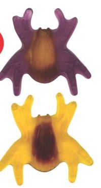 araignée XXL     (environ 100g)